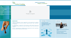 Desktop Screenshot of cerebrusconsulting.com